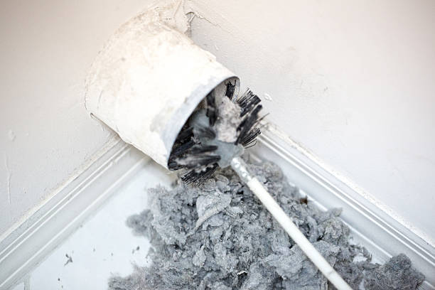 Best HVAC Maintenance and Cleaning  in Erwin, NC